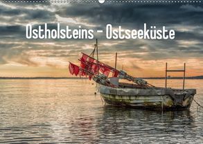 Ostholsteins Ostseeküste (Wandkalender 2019 DIN A2 quer) von Holtz,  Sebastian