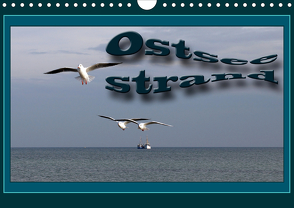Ostsee-Strand (Wandkalender 2021 DIN A4 quer) von Flori0