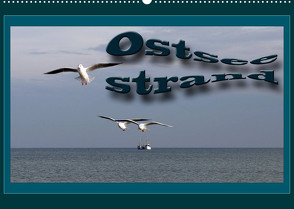 Ostsee-Strand (Wandkalender 2023 DIN A2 quer) von Flori0