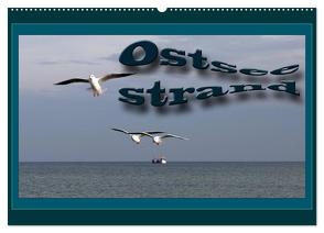 Ostsee-Strand (Wandkalender 2024 DIN A2 quer), CALVENDO Monatskalender von Flori0,  Flori0