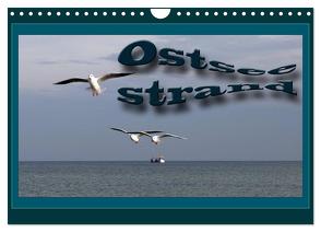 Ostsee-Strand (Wandkalender 2024 DIN A4 quer), CALVENDO Monatskalender von Flori0,  Flori0