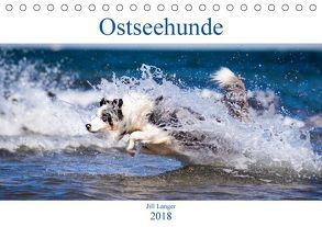 Ostseehunde (Tischkalender 2018 DIN A5 quer) von Langer,  Jill