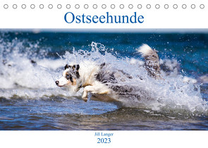 Ostseehunde (Tischkalender 2023 DIN A5 quer) von Langer,  Jill