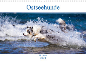 Ostseehunde (Wandkalender 2023 DIN A3 quer) von Langer,  Jill
