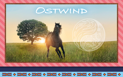 Ostwind – Frühjahr 2019: Briefpapier-Set
