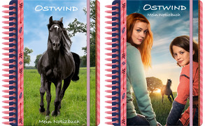 Ostwind Frühjahr 2019: Notizbuch