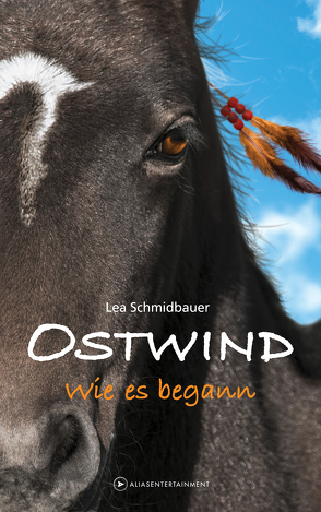 OSTWIND – Wie es begann von Schmidbauer,  Lea