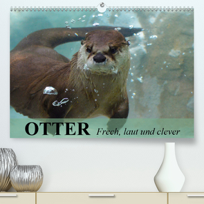Otter. Frech, laut und clever (Premium, hochwertiger DIN A2 Wandkalender 2021, Kunstdruck in Hochglanz) von Stanzer,  Elisabeth