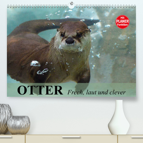 Otter. Frech, laut und clever (Premium, hochwertiger DIN A2 Wandkalender 2023, Kunstdruck in Hochglanz) von Stanzer,  Elisabeth