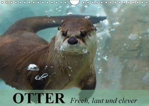 Otter. Frech, laut und clever (Wandkalender 2019 DIN A4 quer) von Stanzer,  Elisabeth