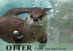 Otter. Frech, laut und clever (Wandkalender 2023 DIN A2 quer) von Stanzer,  Elisabeth