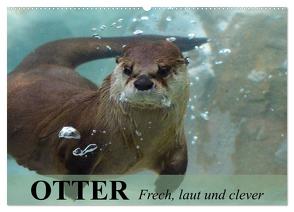 Otter. Frech, laut und clever (Wandkalender 2024 DIN A2 quer), CALVENDO Monatskalender von Stanzer,  Elisabeth