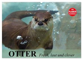 Otter. Frech, laut und clever (Wandkalender 2024 DIN A2 quer), CALVENDO Monatskalender von Stanzer,  Elisabeth