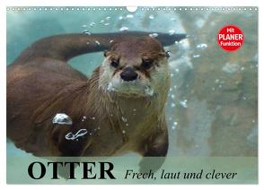 Otter. Frech, laut und clever (Wandkalender 2024 DIN A3 quer), CALVENDO Monatskalender von Stanzer,  Elisabeth