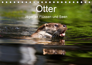 Otter – Jäger an Flüssen und Seen (Tischkalender 2020 DIN A5 quer) von the Snow Leopard,  Cloudtail