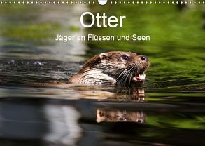 Otter – Jäger an Flüssen und Seen (Wandkalender 2019 DIN A3 quer) von the Snow Leopard,  Cloudtail