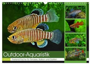 Outdoor-Aquaristik (Wandkalender 2024 DIN A3 quer), CALVENDO Monatskalender von Pohlmann,  Rudolf