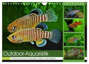 Outdoor-Aquaristik (Wandkalender 2024 DIN A4 quer), CALVENDO Monatskalender von Pohlmann,  Rudolf