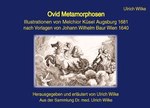 Ovid Metamorphosen von Wilke,  Ulrich