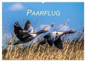 Paarflug (Wandkalender 2024 DIN A2 quer), CALVENDO Monatskalender von Pohl,  Bruno