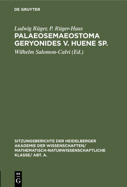 Palaeosemaeostoma geryonides v. Huene sp. von Rüger,  Ludwig, Rüger-Haas,  P., Salomon-Calvi,  Wilhelm