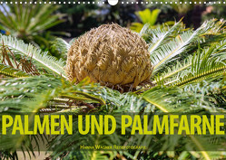 Palmen und Palmfarne (Wandkalender 2022 DIN A3 quer) von Wagner,  Hanna
