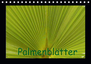 Palmenblätter (Tischkalender 2021 DIN A5 quer) von Burlager,  Claudia