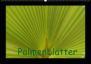Palmenblätter (Wandkalender 2021 DIN A2 quer) von Burlager,  Claudia