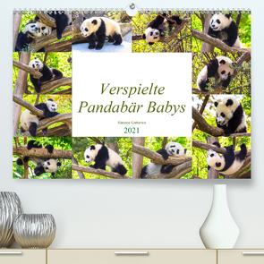 Pandabär Babys (Premium, hochwertiger DIN A2 Wandkalender 2021, Kunstdruck in Hochglanz) von Gatterwe,  Simone