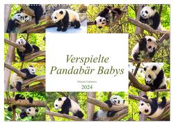 Pandabär Babys (Wandkalender 2024 DIN A2 quer), CALVENDO Monatskalender von Gatterwe,  Simone