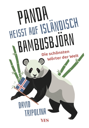 „Panda“ heißt auf Isländisch „Bambusbjörn“ von Tripolina,  David