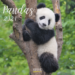 Pandas 2024 von Korsch Verlag