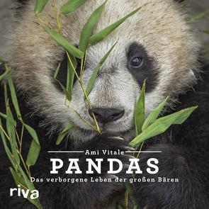 Pandas von Vitale,  Ami