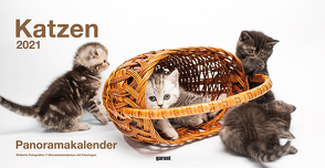 Panoramakalender Katzen 2021 von garant Verlag GmbH