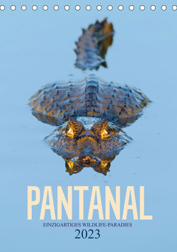 Pantanal – Einzigartiges Wildlife-Paradies (Tischkalender 2023 DIN A5 hoch) von Krutz,  Christina