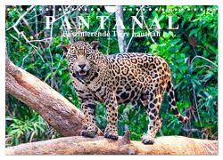 Pantanal: Faszinierende Tiere hautnah (Wandkalender 2024 DIN A4 quer), CALVENDO Monatskalender von Kurz,  Michael
