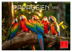 Papageien – Ara (Wandkalender 2024 DIN A3 quer), CALVENDO Monatskalender von Roder,  Peter