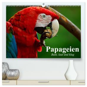 Papageien. Bunt, laut und klug (hochwertiger Premium Wandkalender 2024 DIN A2 quer), Kunstdruck in Hochglanz von Stanzer,  Elisabeth