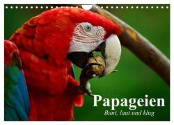 Papageien. Bunt, laut und klug (Wandkalender 2024 DIN A4 quer), CALVENDO Monatskalender von Stanzer,  Elisabeth