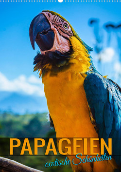 Papageien – exotische Schönheiten (Wandkalender 2024 DIN A2 hoch), CALVENDO Monatskalender von Utz,  Renate