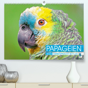 Papageien: Farbenpracht im Flug (Premium, hochwertiger DIN A2 Wandkalender 2023, Kunstdruck in Hochglanz) von CALVENDO