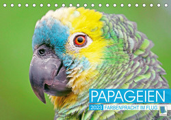 Papageien: Farbenpracht im Flug (Tischkalender 2023 DIN A5 quer) von CALVENDO