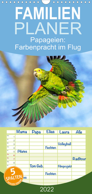 Familienplaner Papageien: Farbenpracht im Flug (Wandkalender 2022 , 21 cm x 45 cm, hoch) von CALVENDO