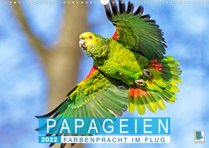Papageien: Farbenpracht im Flug (Wandkalender 2022 DIN A3 quer) von CALVENDO