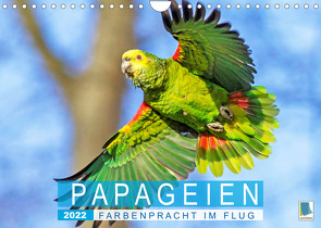 Papageien: Farbenpracht im Flug (Wandkalender 2022 DIN A4 quer) von CALVENDO