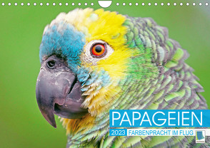 Papageien: Farbenpracht im Flug (Wandkalender 2023 DIN A4 quer) von CALVENDO