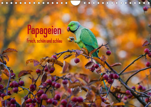 Papageien – Frech, schön und schlau (Wandkalender 2022 DIN A4 quer) von Voss,  Michael