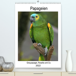 Papageien – Graupapagei, Rosella und Co. (Premium, hochwertiger DIN A2 Wandkalender 2022, Kunstdruck in Hochglanz) von Lindert-Rottke,  Antje