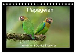 Papageien (Tischkalender 2024 DIN A5 quer), CALVENDO Monatskalender von und Daniel Brockner,  Armin