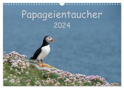 Papageientaucher 2024 (Wandkalender 2024 DIN A3 quer), CALVENDO Monatskalender von Leimer,  Stefan